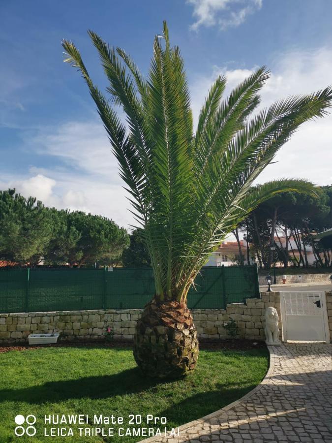 Villa Lala Amoreira  Екстериор снимка
